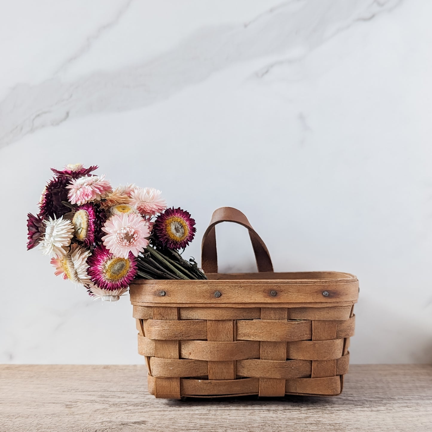 Dried Strawflower Bundle