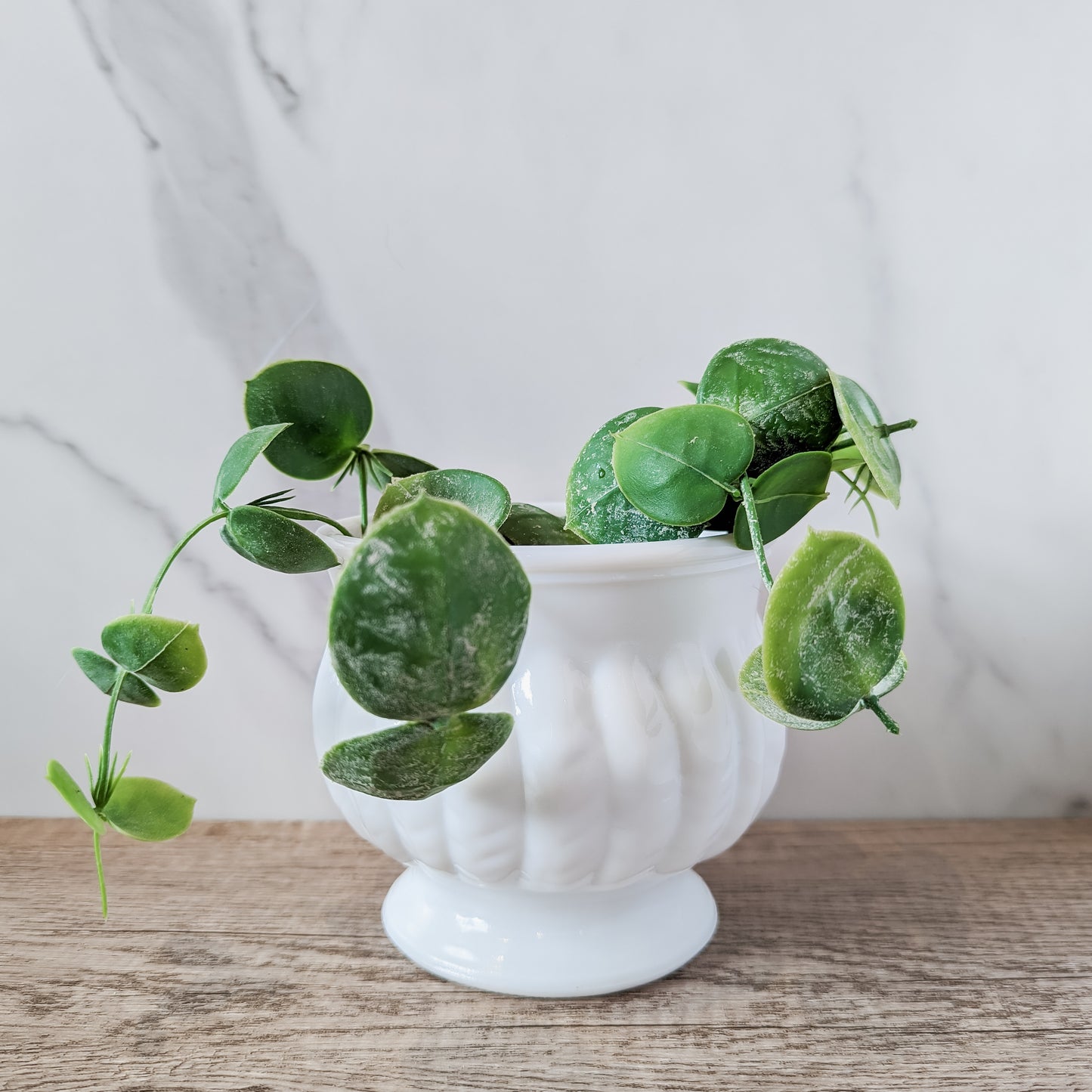 Randall Milk Glass Pedastal Bowl with Raised Feather Detail