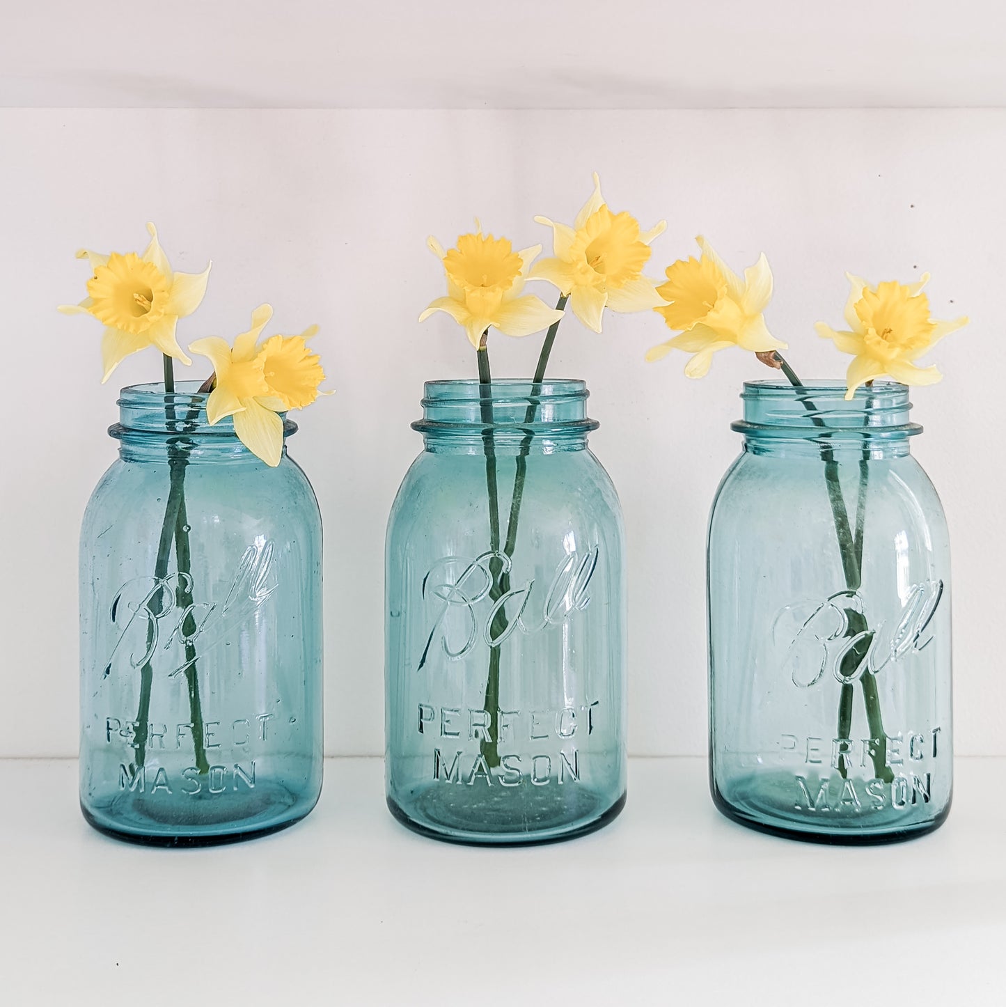 Ball Canning Jars (1 QT and without lids)