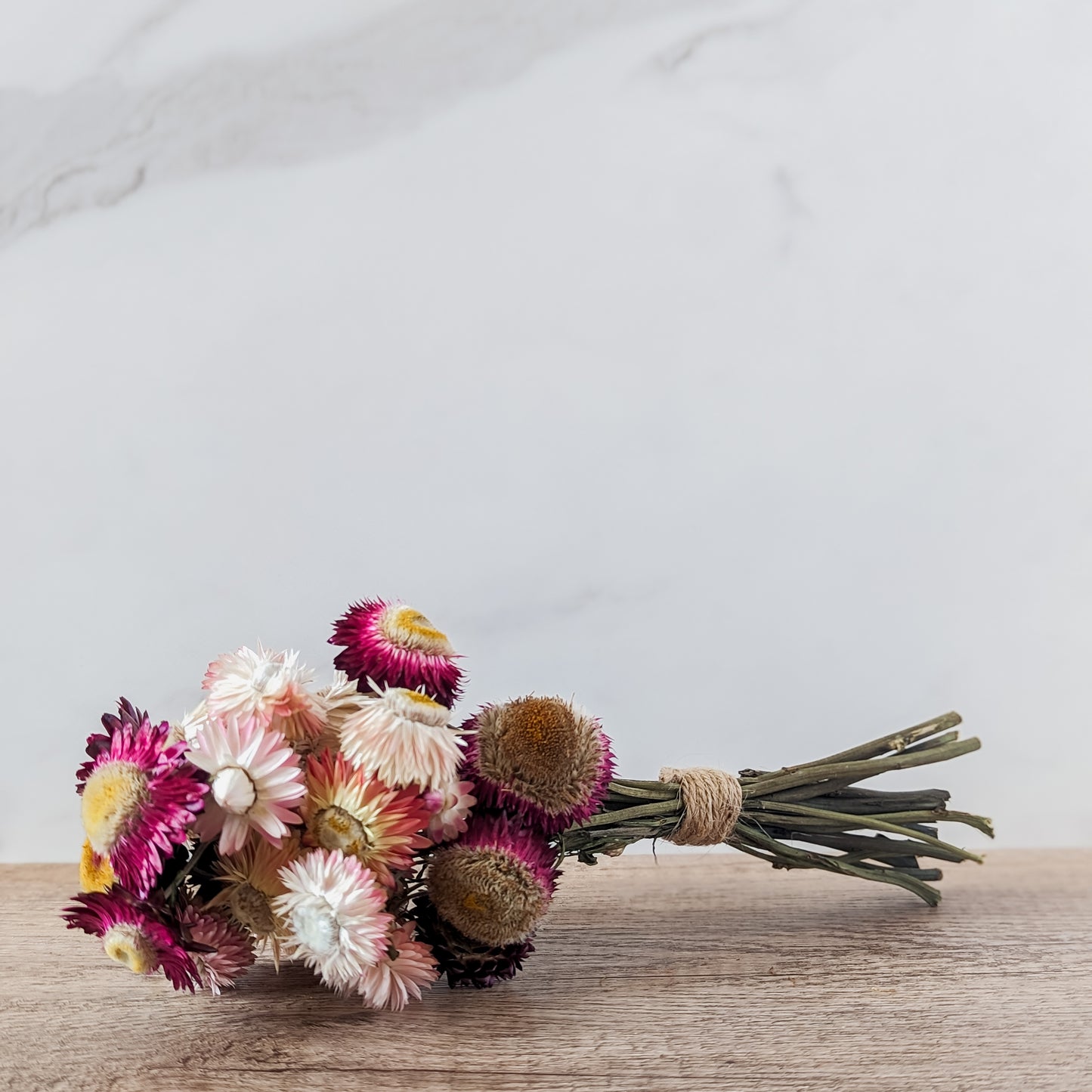 Dried Strawflower Bundle