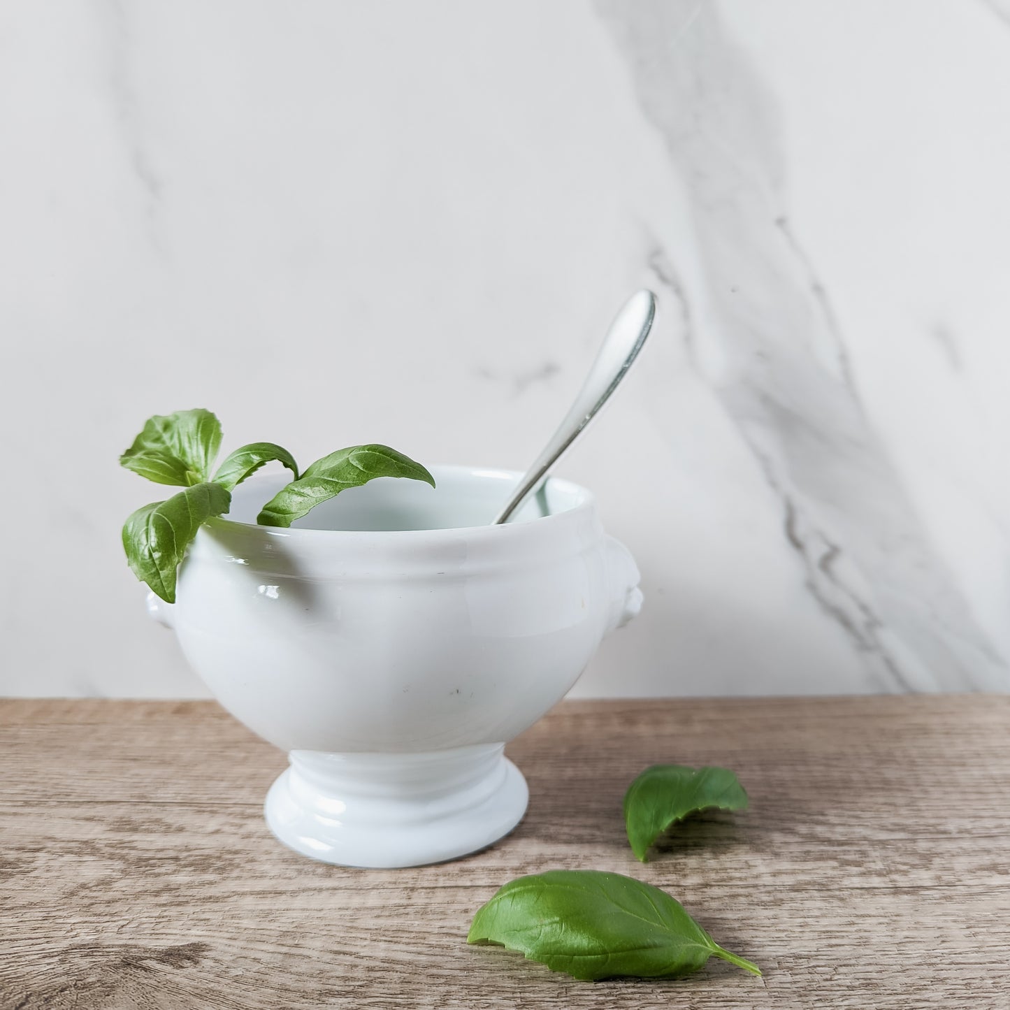 Revol la Porcelaine Soup Bowl